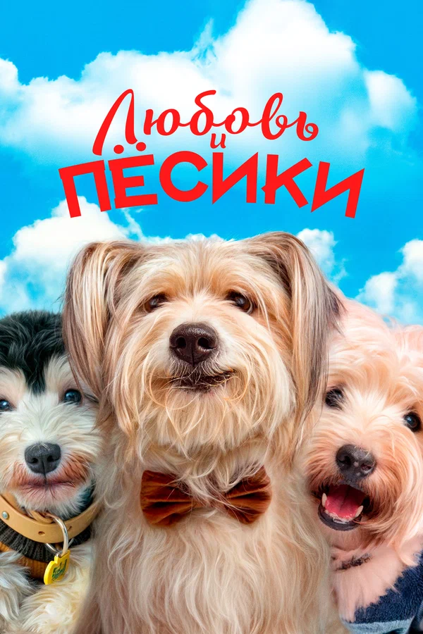 Постер: Любовь и пёсики