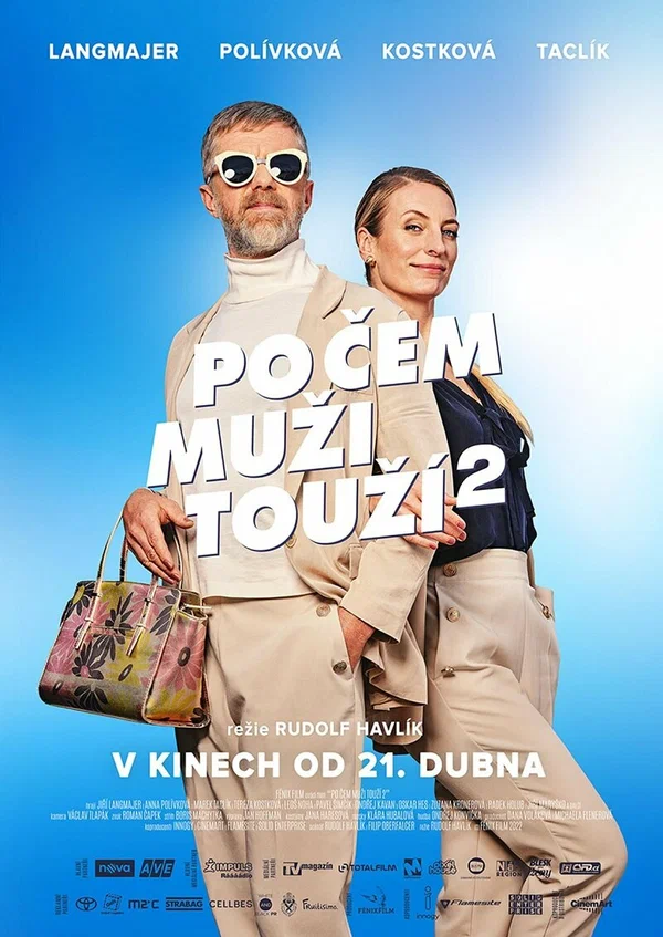 Постер: Po cem muzi touzí 2