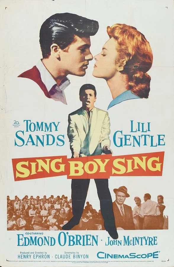 Постер: Sing Boy Sing