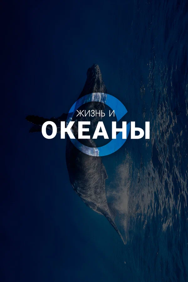 Постер: Жизнь и Океаны