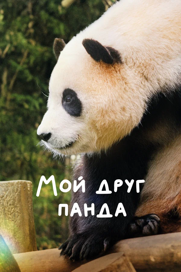 Постер: Мой друг панда