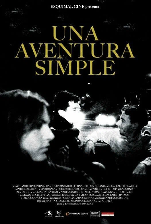 Постер: Una aventura simple