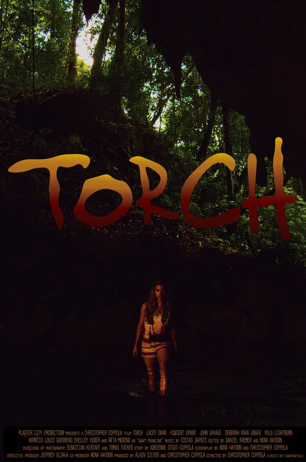 Постер: Torch