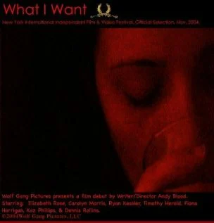 Постер: What I Want