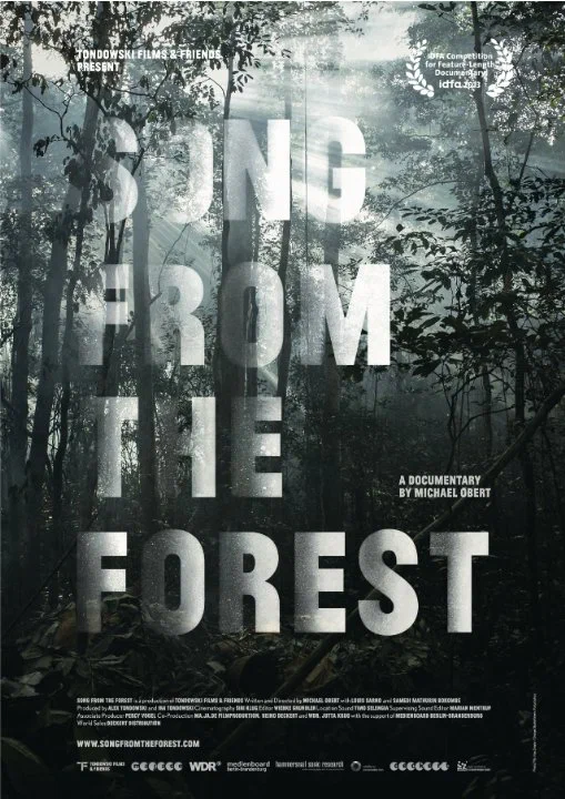 Постер: Song from the Forest