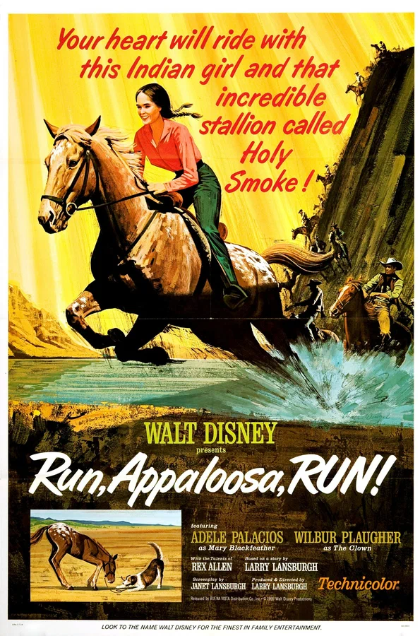 Постер: Run, Appaloosa, Run!
