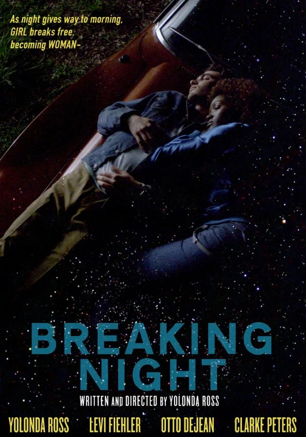Постер: Breaking Night