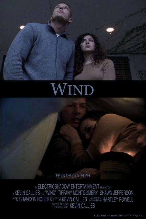Постер: Wind