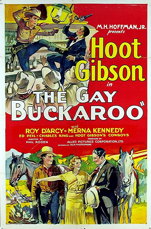 Постер: The Gay Buckaroo