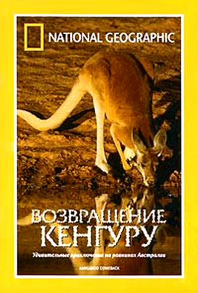 Постер: National Geographic: Возвращение кенгуру