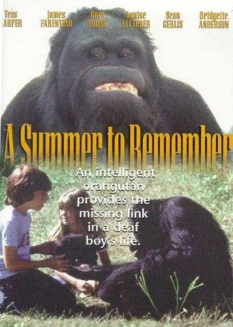Постер: A Summer to Remember