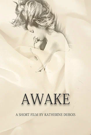 Постер: Awake