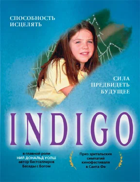 Постер: Индиго