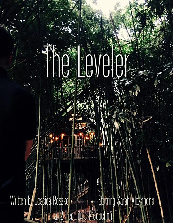 Постер: The Leveler