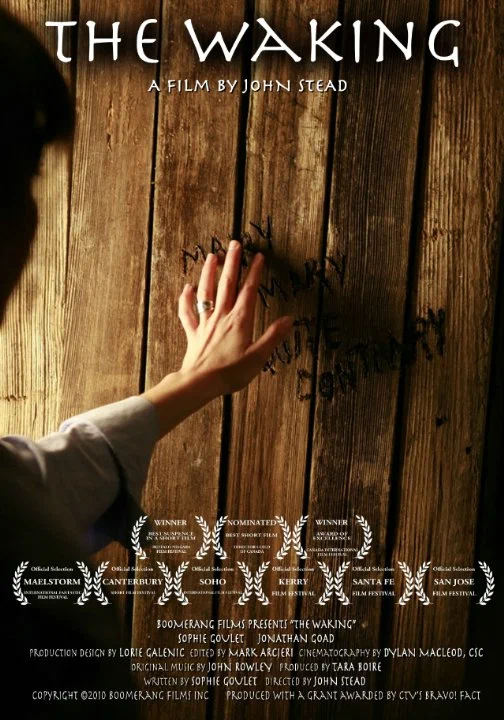 Постер: The Waking