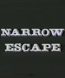 Постер: Narrow Escape