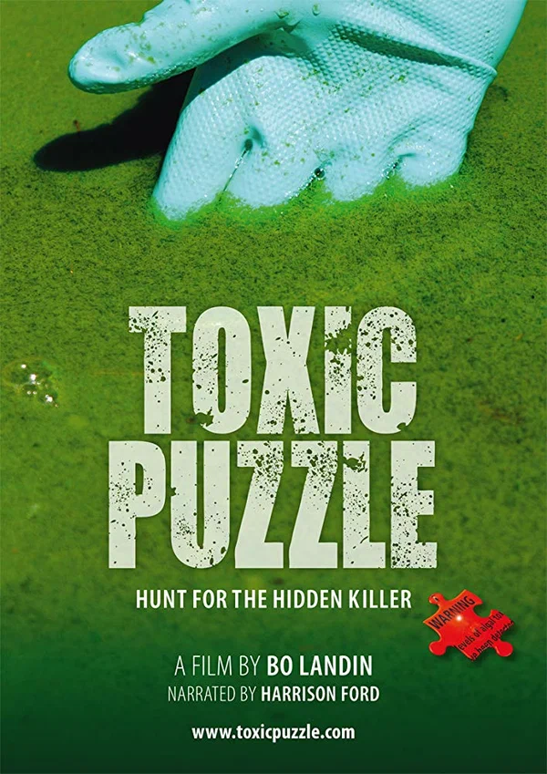 Постер: Toxic Puzzle