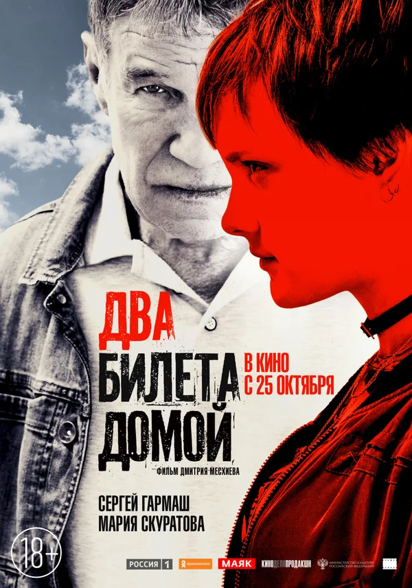 Постер: Два билета домой