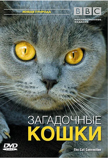 Постер: BBC: Загадочные кошки