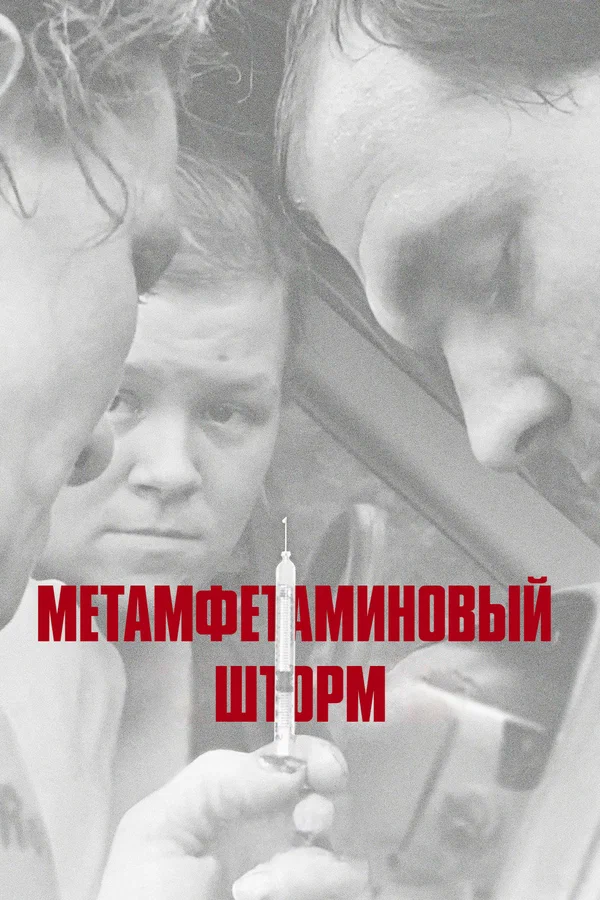 Постер: Метамфетаминовый шторм