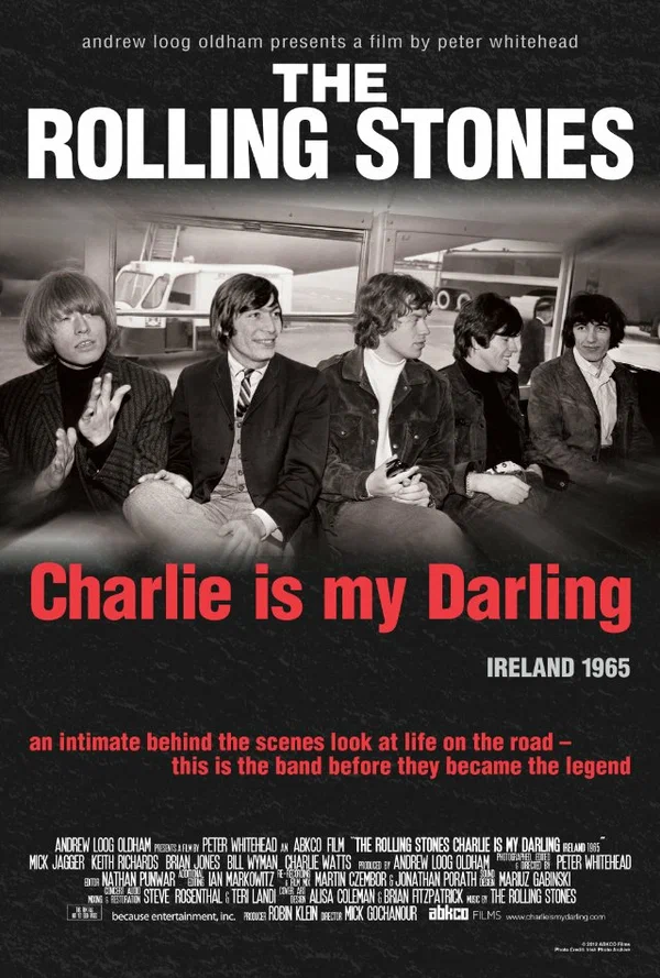 Постер: The Rolling Stones: Чарли — моя лапочка