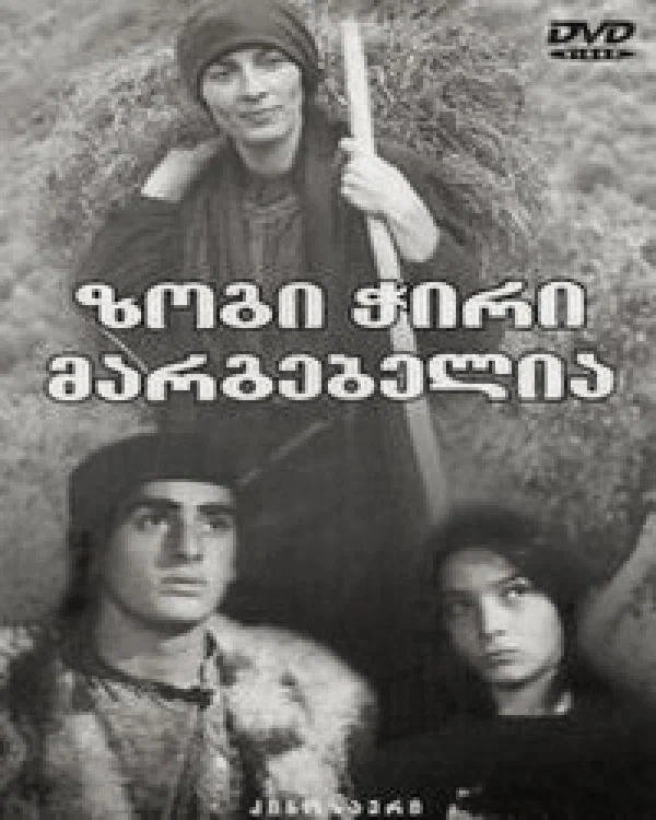 Постер: Полуночная бабочка