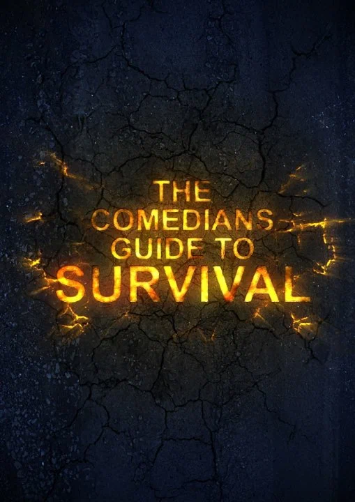 Постер: The Comedian's Guide to Survival