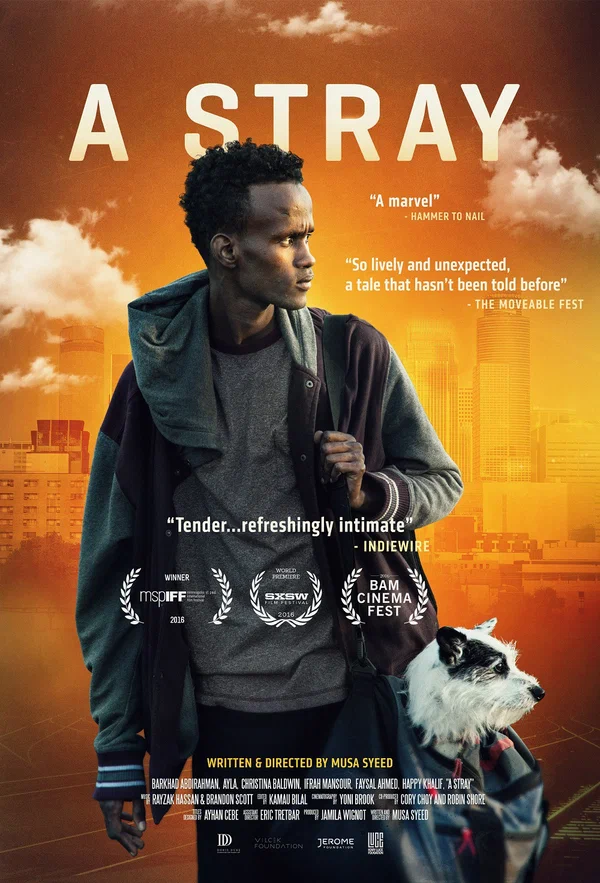 Постер: A Stray