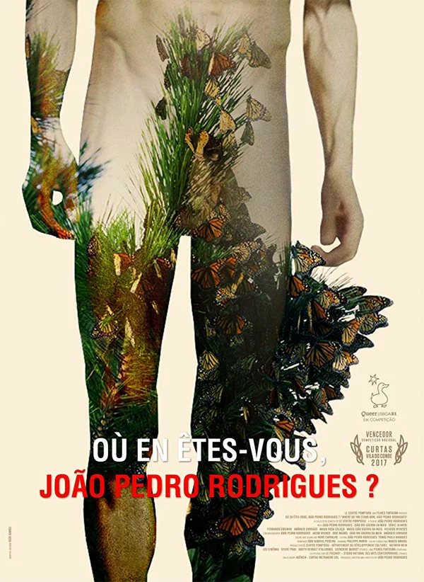 Постер: Où en êtes-vous, João Pedro Rodrigues ?