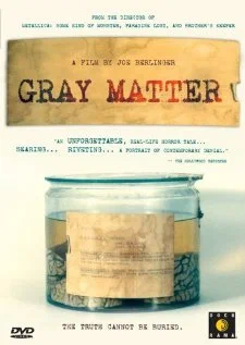 Постер: Gray Matter