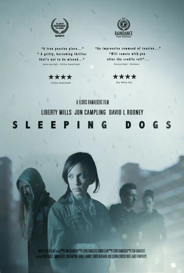 Постер: Sleeping Dogs