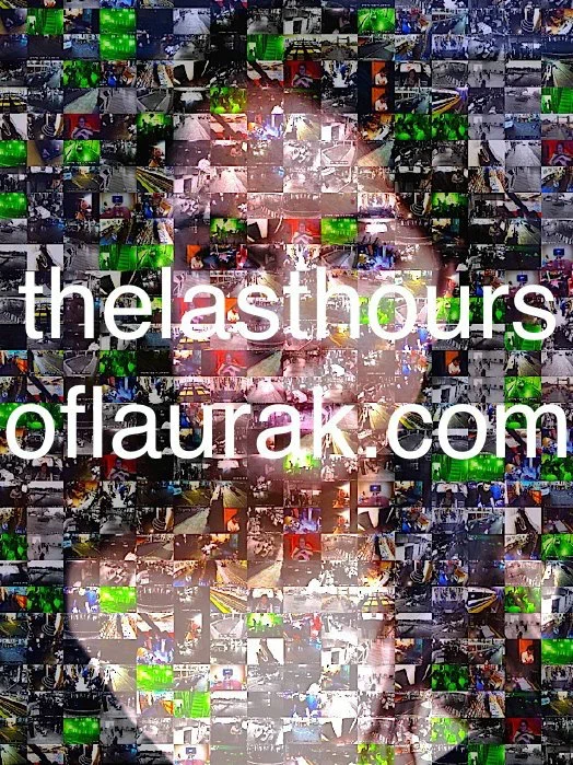 Постер: The Last Hours of Laura K