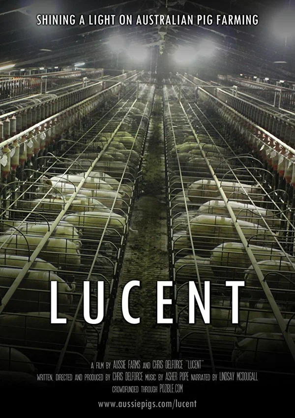 Постер: Lucent