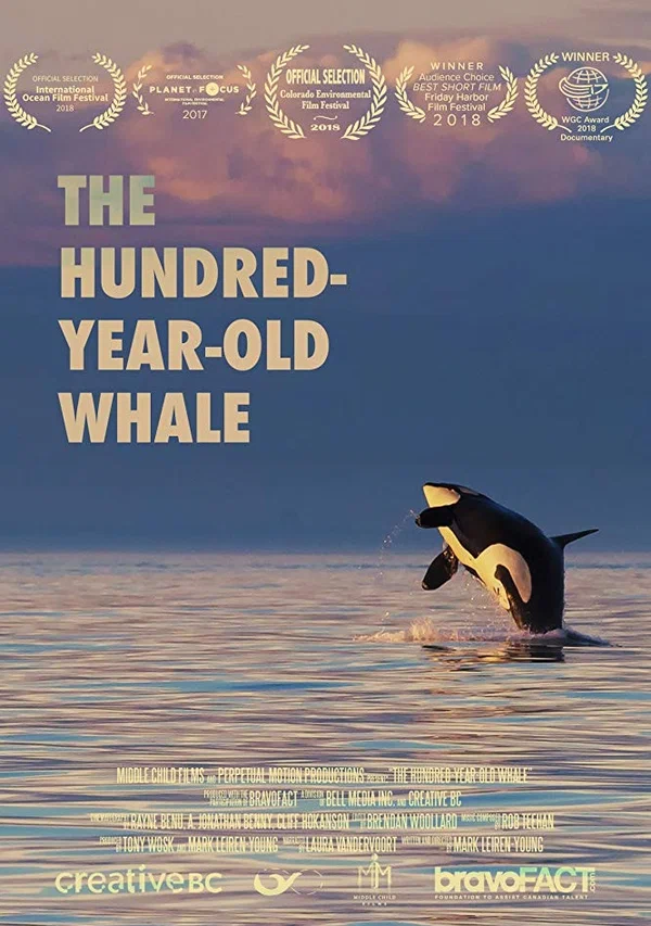 Постер: The Hundred Year Old Whale