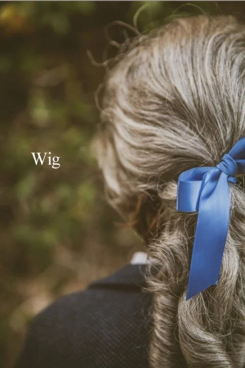 Постер: Wig