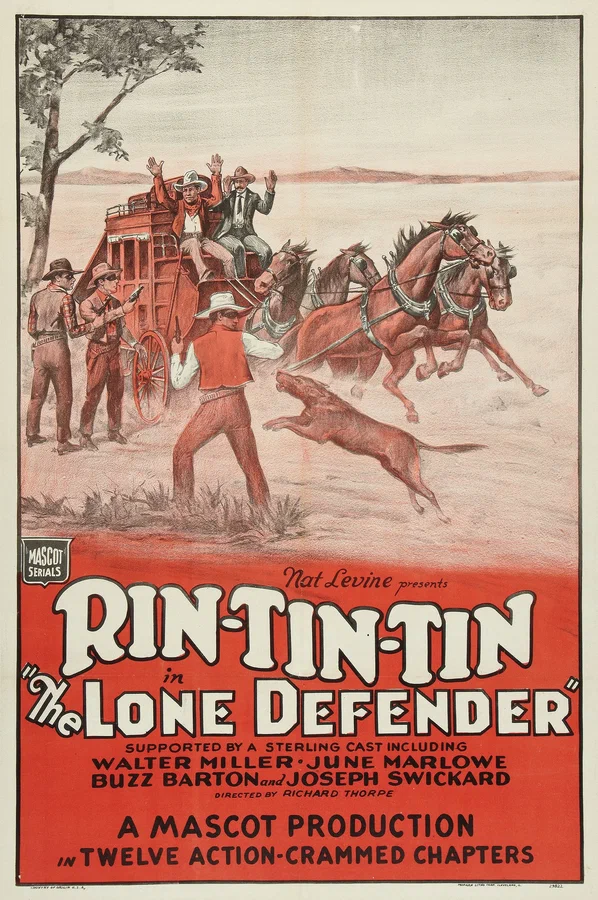 Постер: The Lone Defender