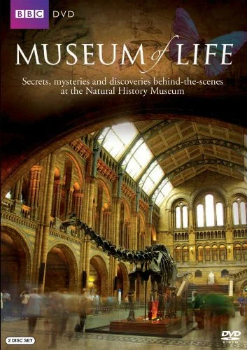 Постер: Museum of Life