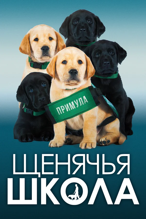 Постер: Щенячья школа