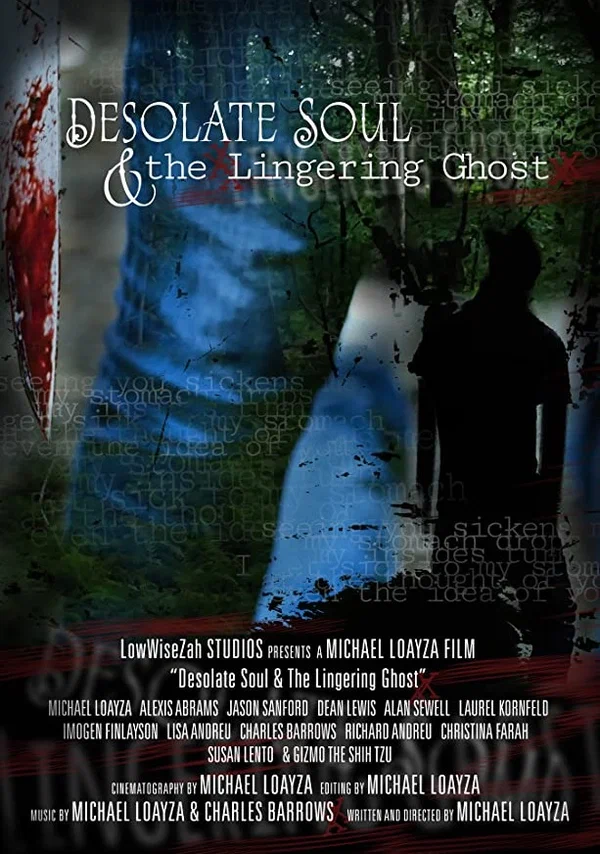 Постер: Desolate Soul & The Lingering Ghost