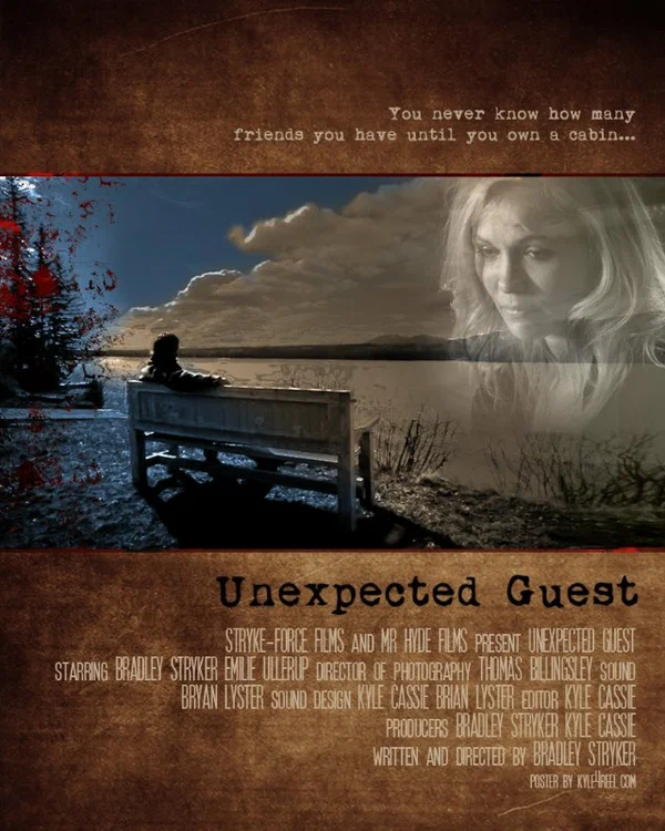 Постер: Unexpected Guest