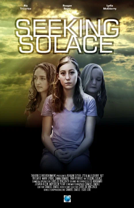 Постер: Seeking Solace