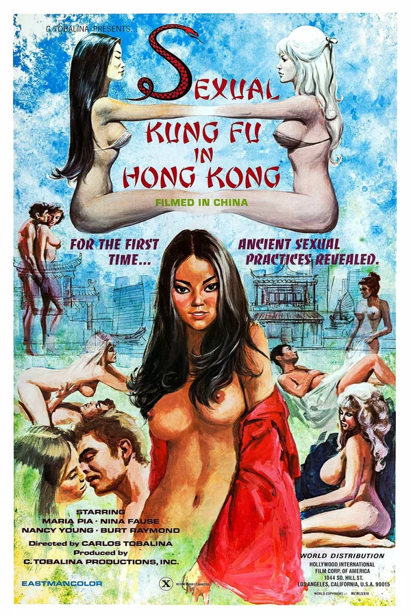 Постер: Sexual Kung Fu in Hong Kong