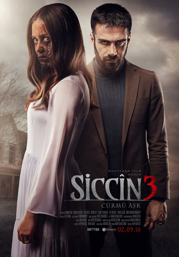 Постер: Сиджин 3
