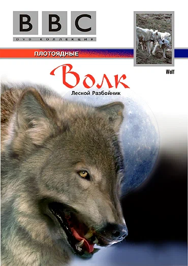 Постер: BBC: Волк