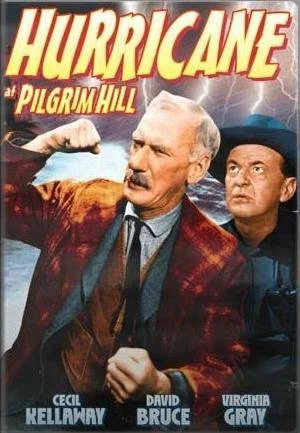 Постер: Hurricane at Pilgrim Hill