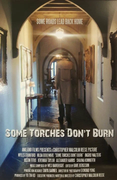 Постер: Some Torches Don't Burn