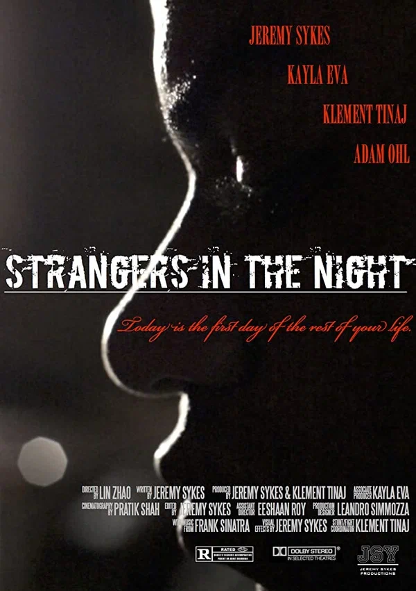Постер: Strangers in the Night