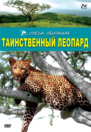 Постер: Таинственный леопард