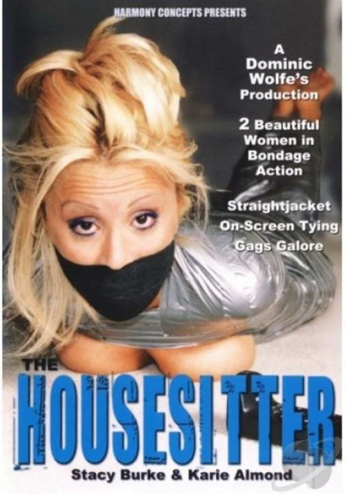 Постер: The Housesitter