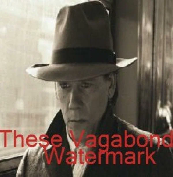 Постер: Эти туфли Vagabond